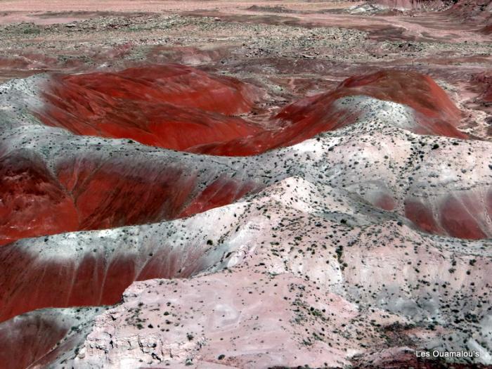 Painted Desert