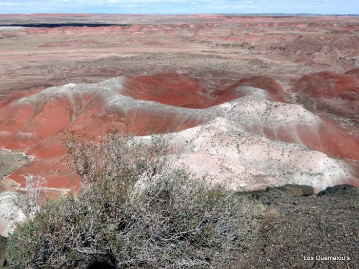 Painted Desert