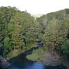 Whangarei Falls