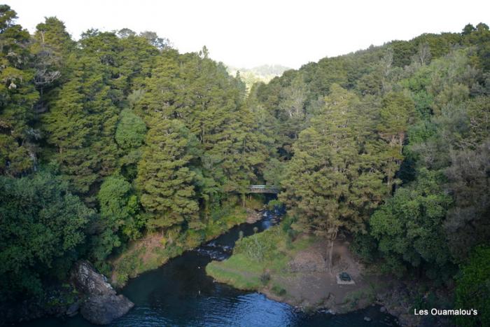 Whangarei Falls