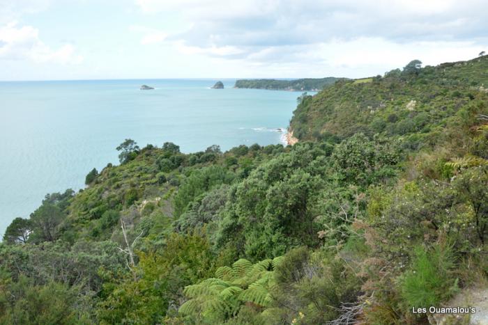 Cathedral Cove