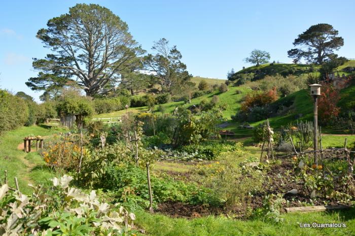 Hobbiton