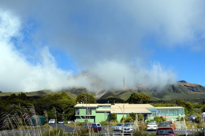 Egmont National Park