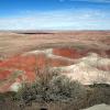 Painted Desert