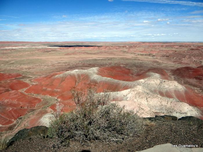 Painted Desert