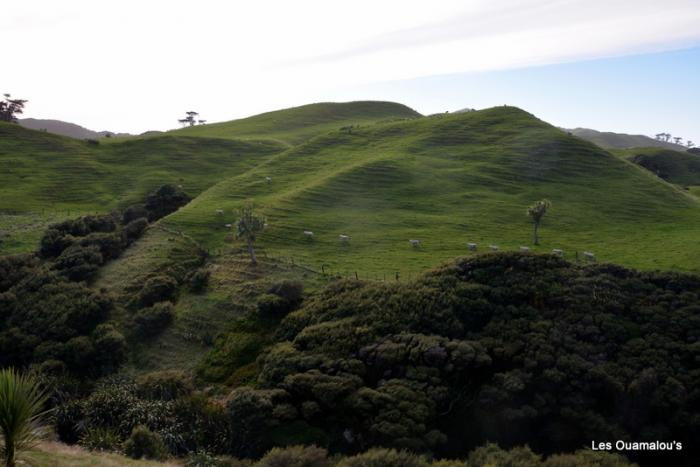 Wharakiri beach