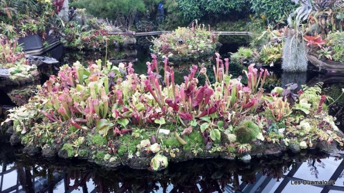 Singapour - Gardens by the Bay