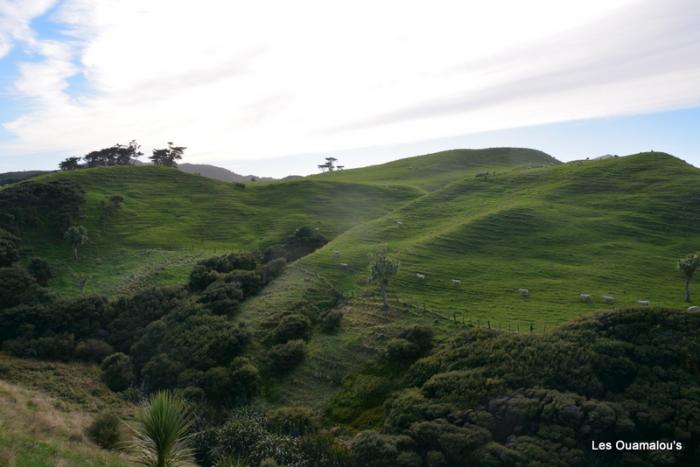 Wharakiri beach