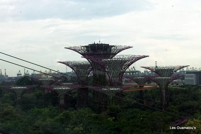 Singapour - Gardens by the Bay