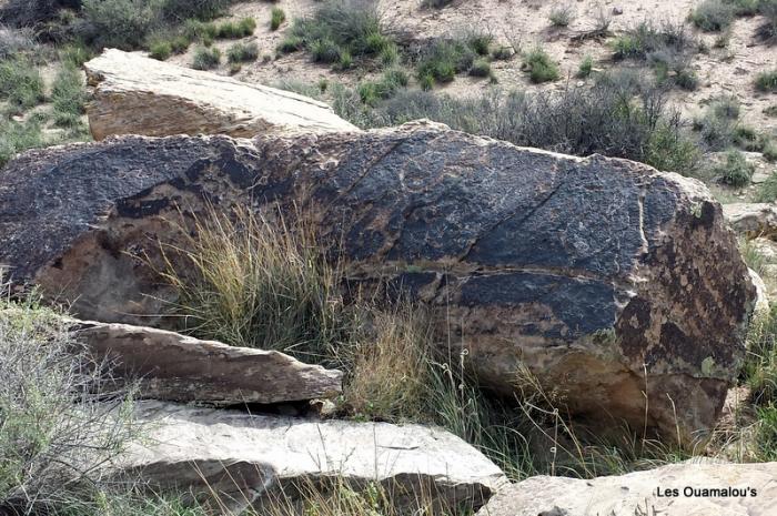 Painted Desert