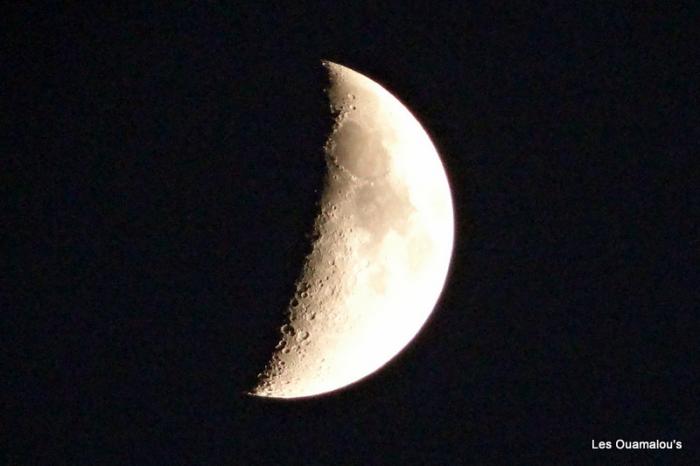 Lune à la Nouvelle Orléans