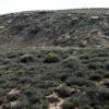 Painted Desert