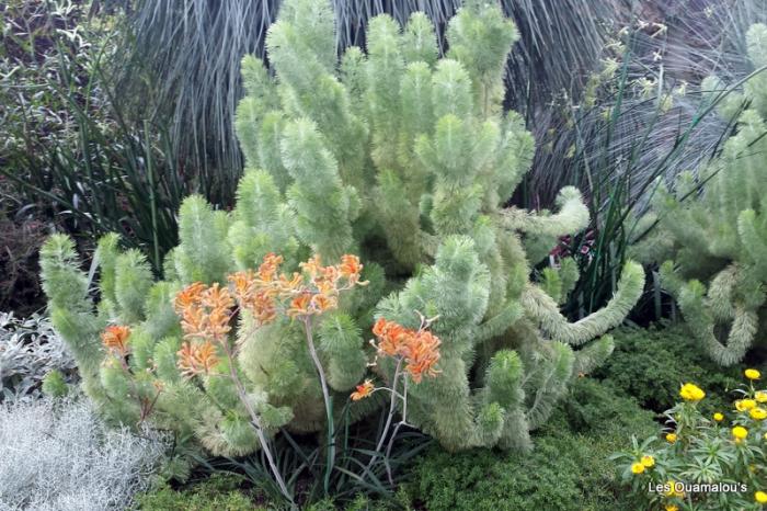 Singapour - Gardens by the Bay