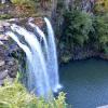 Whangarei Falls