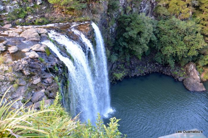 Whangarei Falls