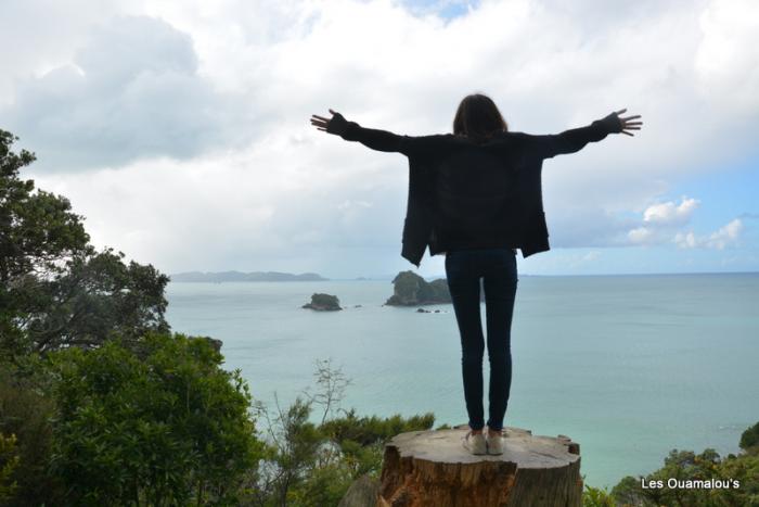 Cathedral Cove