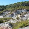 Wai O Tapu