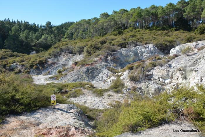 Wai O Tapu