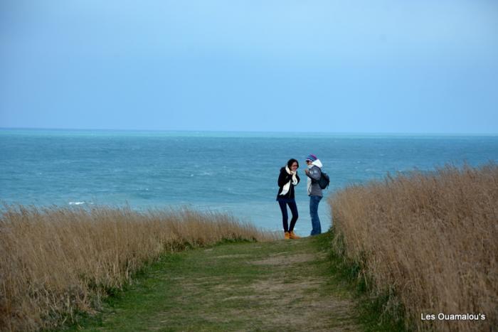 Kaikoura