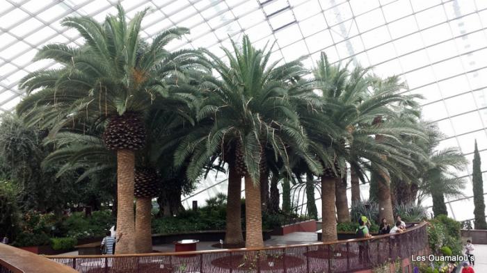 Singapour - Gardens by the Bay