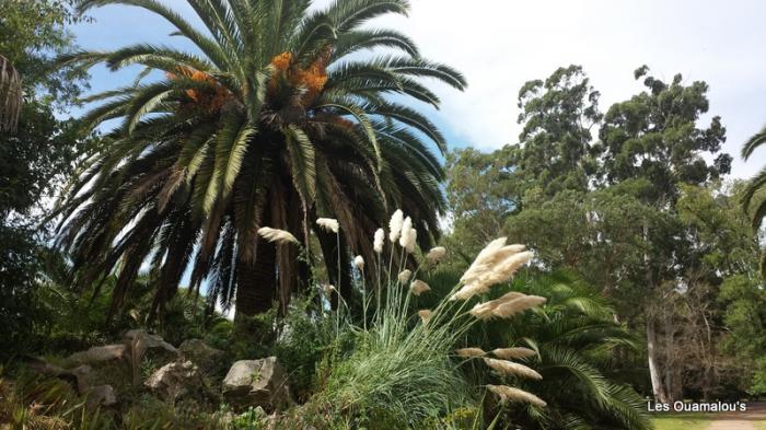 Balade dans le Jardin Botanique