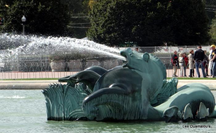 Fontaine Buckingham