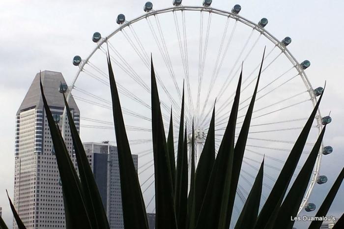 Singapour - Gardens by the Bay