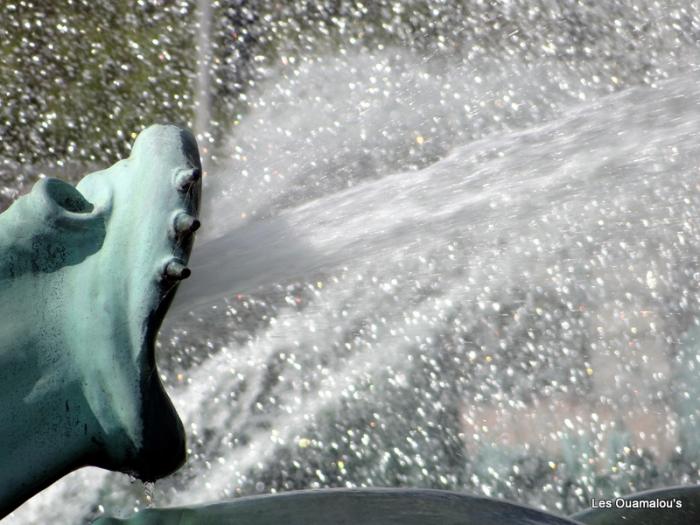 Fontaine Buckingham