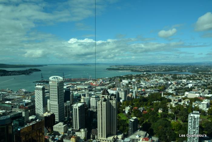 Auckland