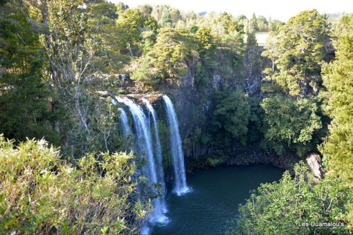 Whangarei Falls