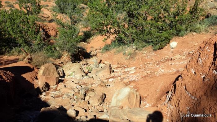 Palo Duro Canyon