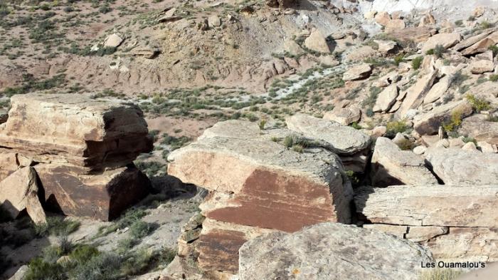 Painted Desert