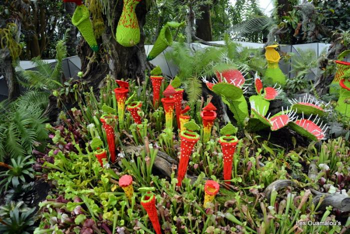 Singapour - Gardens by the Bay