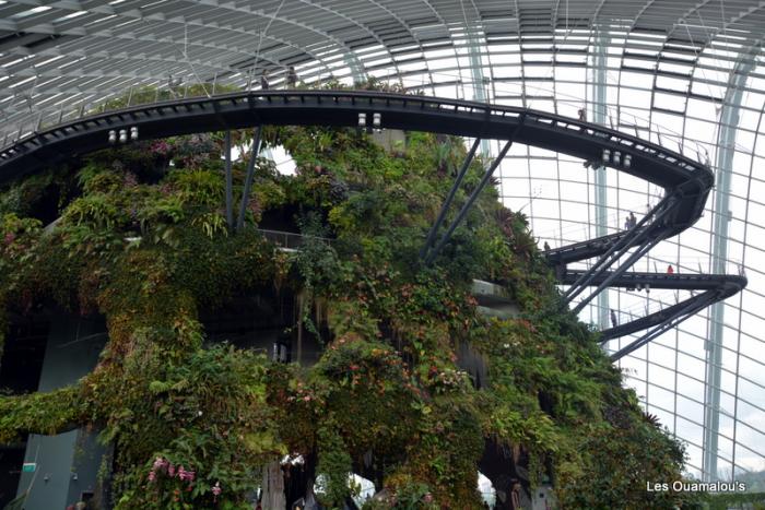 Singapour - Gardens by the Bay