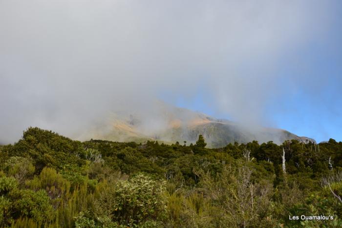 Egmont National Park