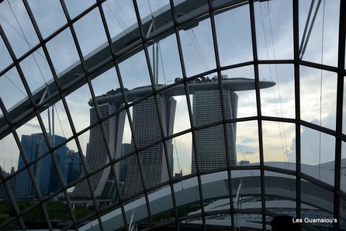 Singapour - Gardens by the Bay