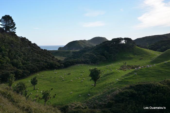 Wharakiri beach