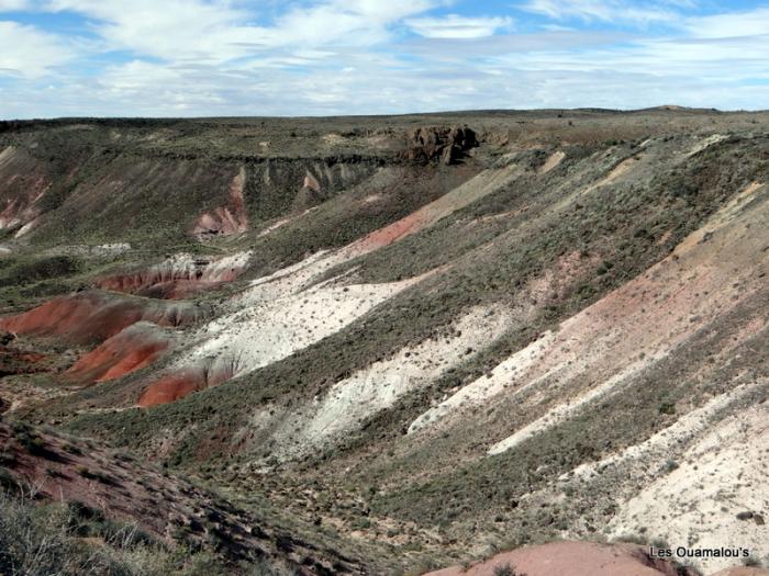 Painted Desert