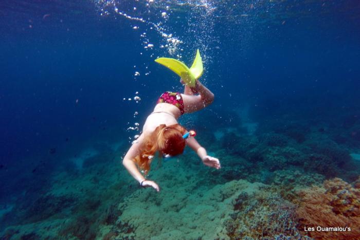 Plongée à Pulau Menjangan