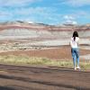 Painted Desert