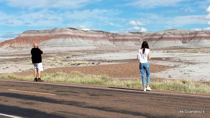 Painted Desert