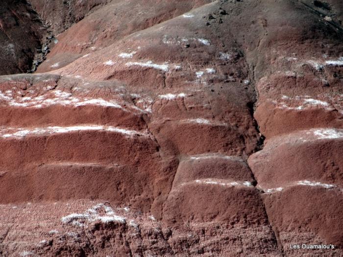 Painted Desert