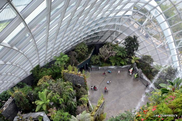 Singapour - Gardens by the Bay