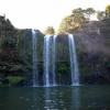 Whangarei Falls