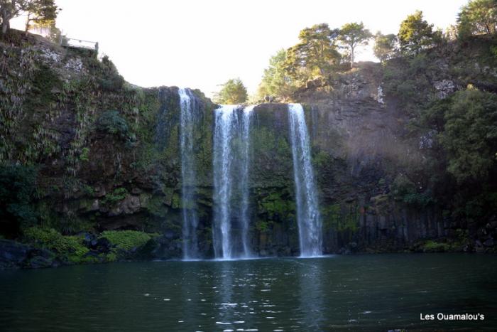 Whangarei Falls