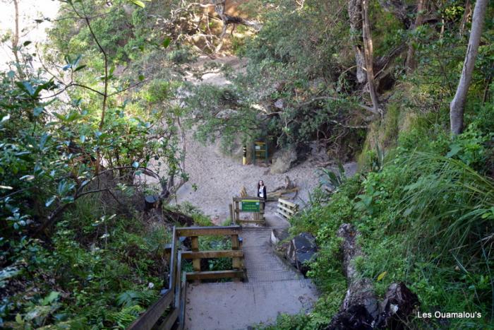 Cathedral Cove