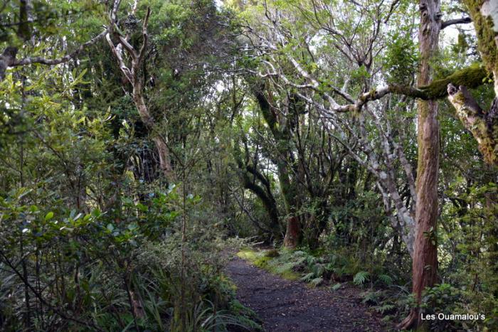 Egmont National Park