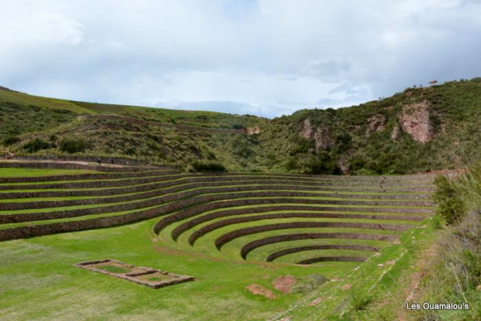 Moray