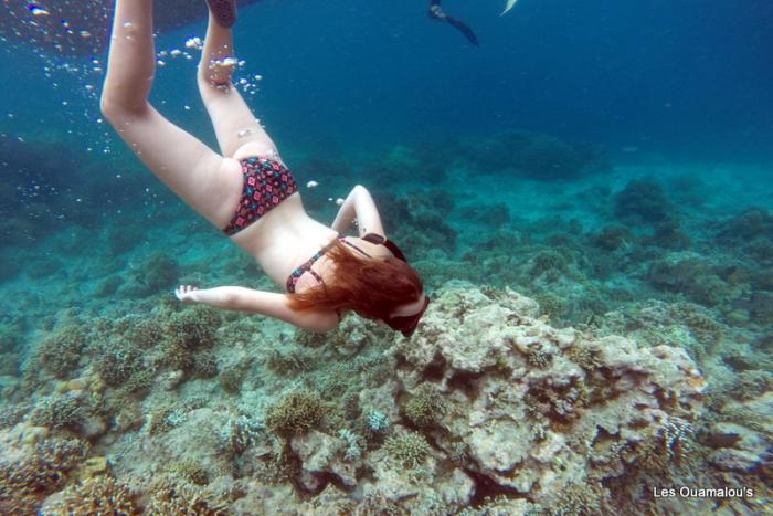 Plongée à Pulau Menjangan