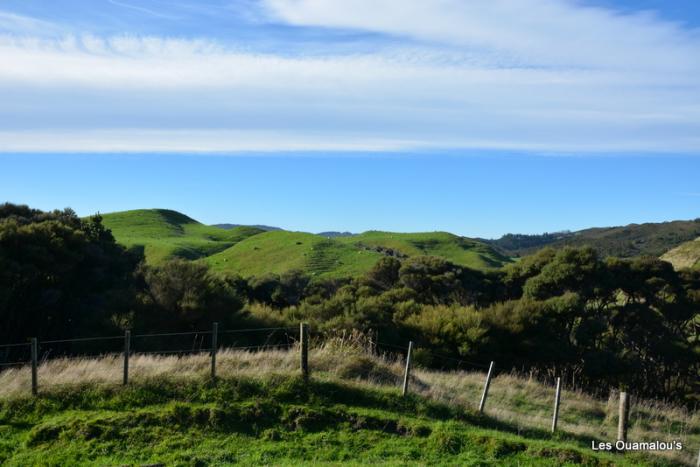 Wharakiri beach